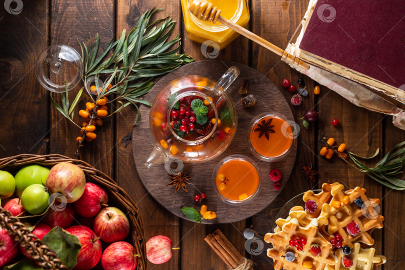 Скачать Осенний чай с ягодами и медом фотосток Ozero