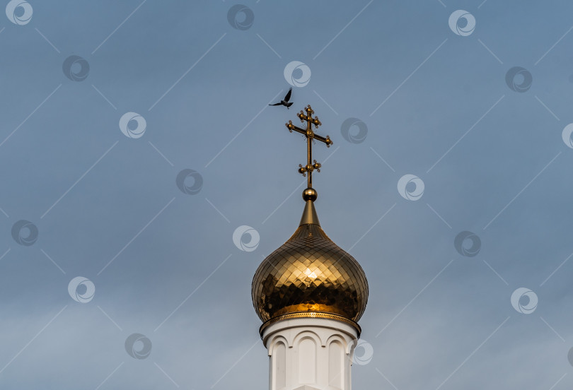 Скачать вознесение фотосток Ozero