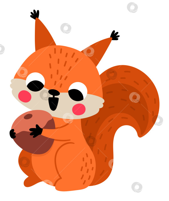 Скачать Векторная мультяшная белка, сидящая с орехом на белом фоне. Забавный анималистический клипарт. Милая иконка лесного животного для детей. Плоский лесной элемент. Иллюстрация дикой природы в лесу фотосток Ozero