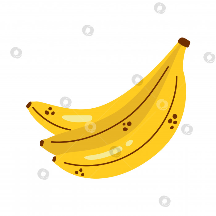 Скачать Векторная банановая гроздь. Милые бананы. Желтая гроздь бананов, выделенная на белом фоне. Тропический фрукт. фотосток Ozero