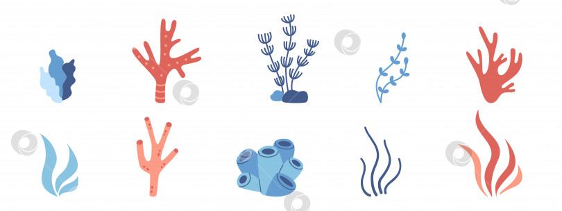 Скачать Векторная коллекция водных растений с кораллами, морскими водорослями и микроводорослями. Морской набор с морскими и океаническими растениями. фотосток Ozero