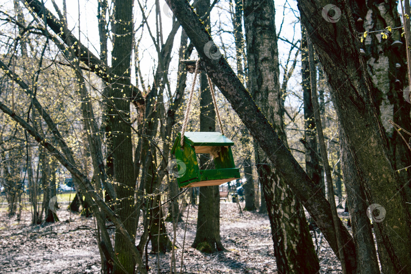 Скачать зеленая кормушка для птиц в весеннем лесу фотосток Ozero