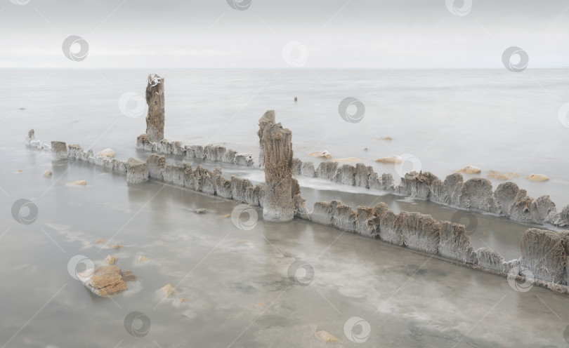 Скачать Остатки старых деревянных свай, покрытых кристаллами соли, уходящих в соленое озеро Эльтон в Волгоградской области фотосток Ozero