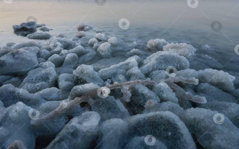 Скачать Соленое озеро Баскунчак, соленые ветки перекати-поля и камни, замороженные в соляном рассоле фотосток Ozero