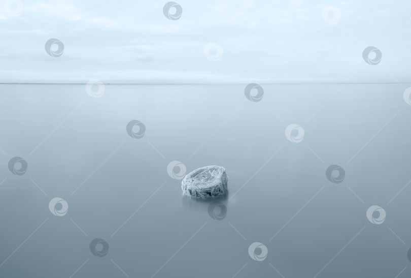 Скачать Деревянный столб, покрытый кристаллами соли, торчит над поверхностью рассола одного из самых соленых озер в мире - Эльтона, фотосток Ozero