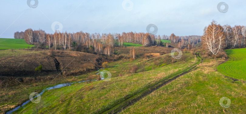 Скачать Весенний пейзаж сельскохозяйственных полей с высоты птичьего полета с молодыми ярко-зелеными побегами и деревьями, растущими в оврагах на краю полей фотосток Ozero