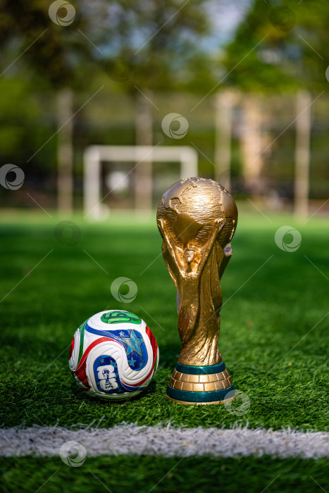 Скачать Чемпионат мира по футболу FIFA фотосток Ozero