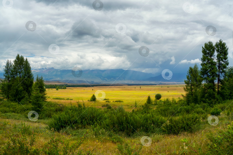 Скачать Яркий летний степной пейзаж. Степь на фоне гор. фотосток Ozero