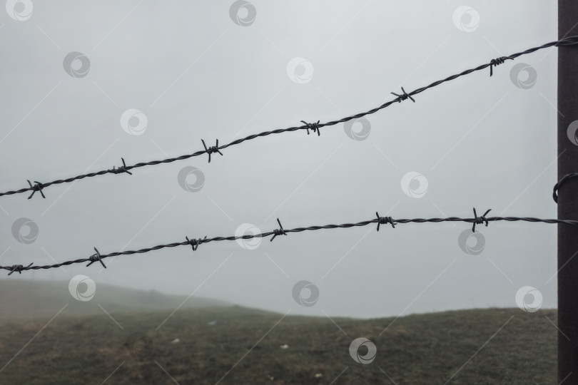 Скачать Влажный туман окутывает склон холма за колючей проволокой фотосток Ozero