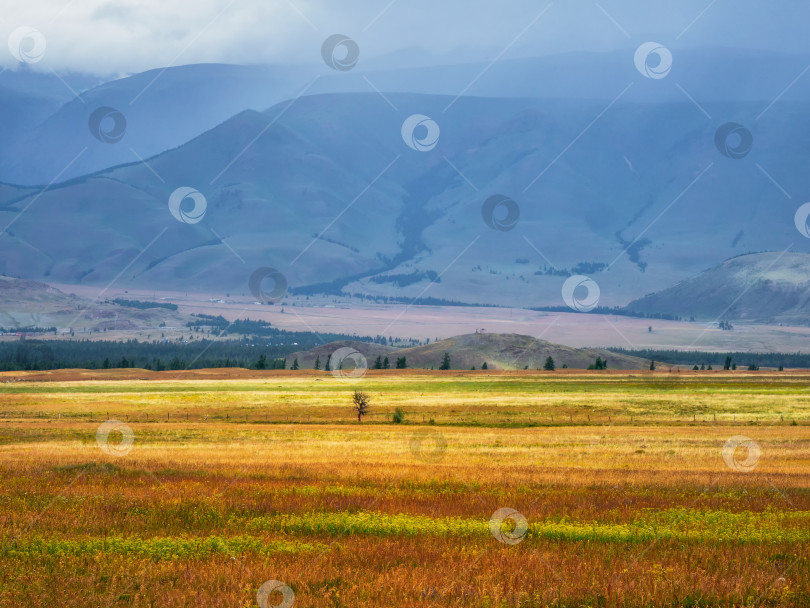 Скачать Яркий летний степной пейзаж. Степь на фоне гор. фотосток Ozero