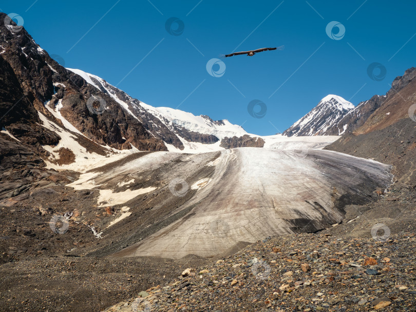 Скачать Вид на ледник на высокогорном плато. Орел над ледником. фотосток Ozero