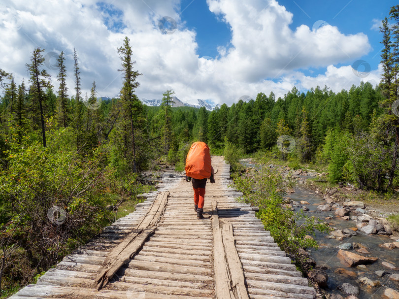 Скачать Турист мужского пола с большим оранжевым рюкзаком прогуливается по старому деревянному мосту на фоне хвойного леса и гор вдалеке фотосток Ozero