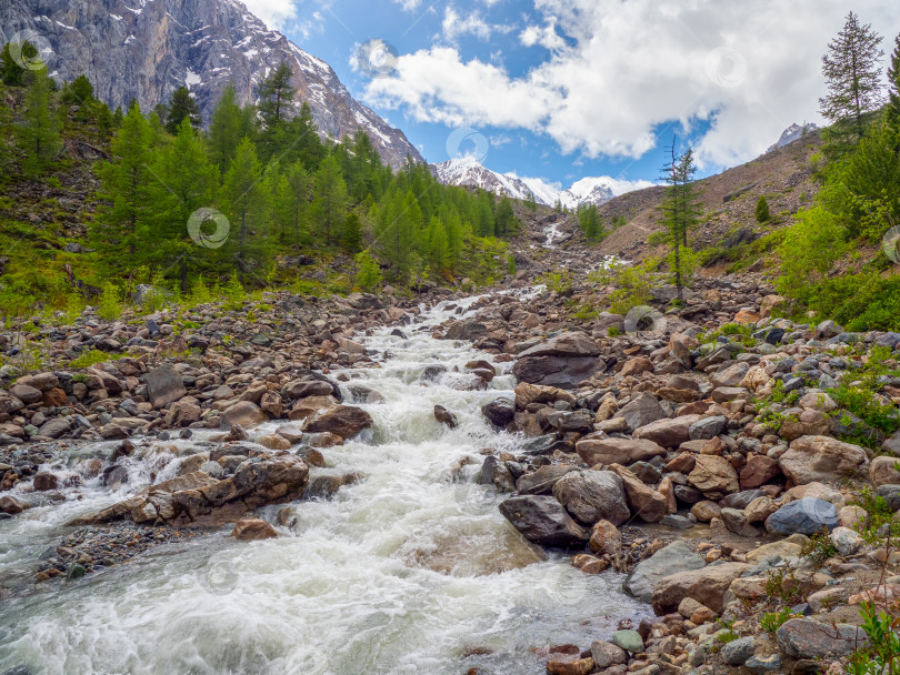 Скачать Горная река течет через лес. Красивый альпийский пейзаж с лазурной водой быстрой реки. Мощь величественной природы высокогорья. фотосток Ozero