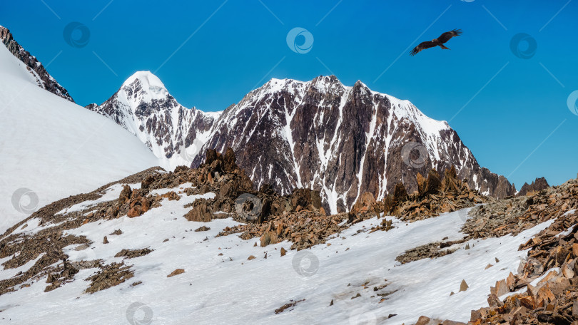 Скачать Заснеженное высокогорное плато. Панорамный альпийский пейзаж с заснеженной горной вершиной и острыми скалами под голубым небом. Красочный солнечный горный пейзаж со снежной вершиной горы. фотосток Ozero