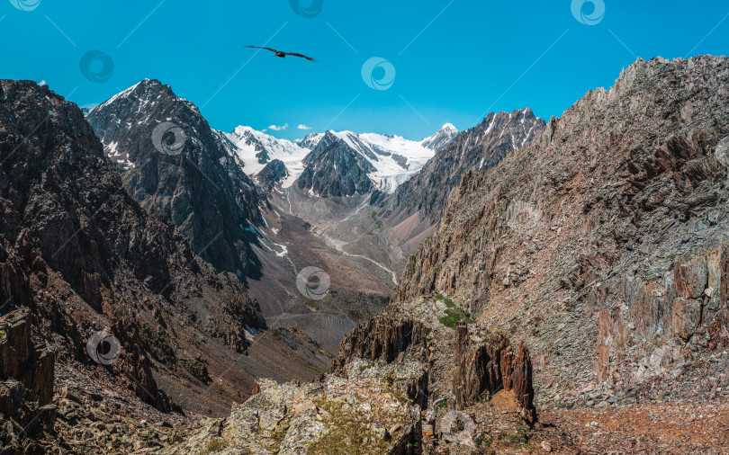 Скачать Панорамный вид на опасный кулуар. Красочный солнечный пейзаж с утесами, большими скалистыми горами и эпическим глубоким ущельем. Алтайские горы. фотосток Ozero