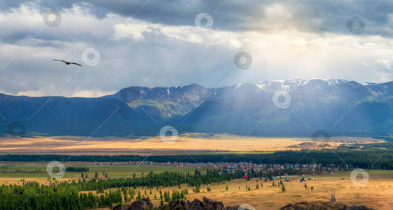 Скачать Алтайское село Курай. Широкий панорамный вид на Курайскую степь на Алтае. Степь на фоне гор. фотосток Ozero