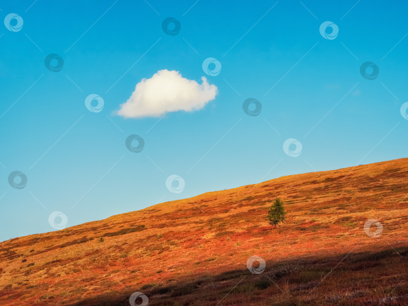 Скачать Минималистский альпийский пейзаж с силуэтом горы под голубым небом с одиноким большим облаком. Осенний склон горы и светлое небо. Минимальный природный фон с силуэтом горы под голубым небом. фотосток Ozero
