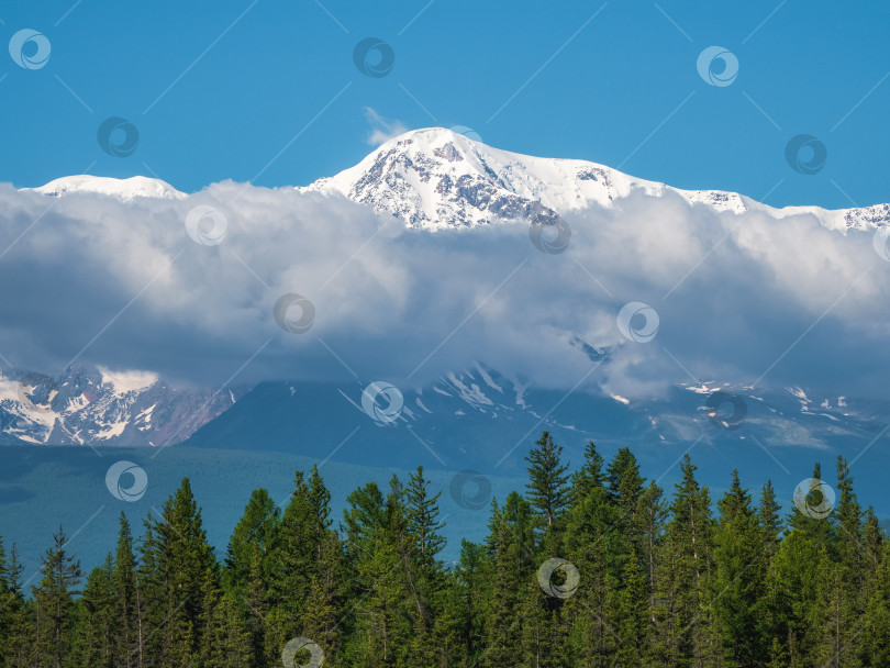 Скачать Гигантские горы со снегом над зеленым лесом в солнечный день. Ледник под голубым небом. Удивительный заснеженный горный пейзаж величественной природы. фотосток Ozero