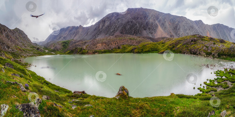 Скачать Бирюзовое горное озеро в ущелье.  Драматический горный пейзаж Алтая. Дождливое высокогорное плато. фотосток Ozero