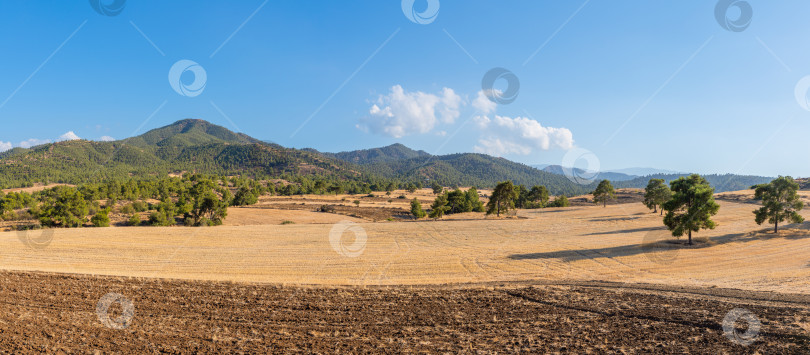Скачать сельскохозяйственные поля Кипра на фоне гор фотосток Ozero