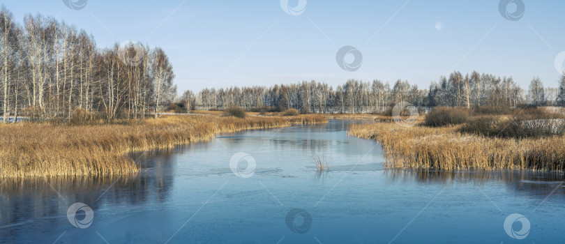 Скачать Первые заморозки покрыли тонкой коркой льда небольшой пруд фотосток Ozero