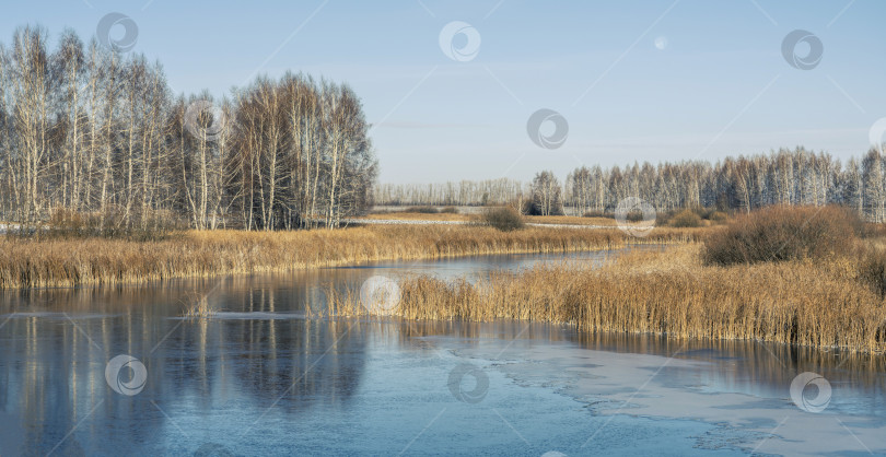 Скачать Первые заморозки покрыли тонкой коркой льда небольшой пруд фотосток Ozero