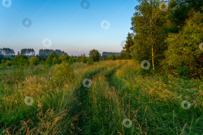 Скачать грунтовая дорога, заросшая высокой травой летним вечером на закате фотосток Ozero