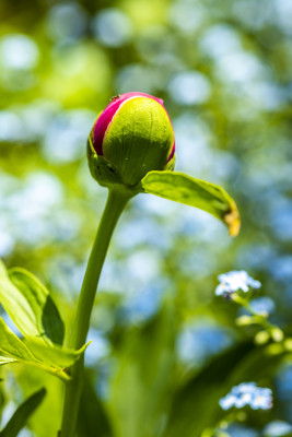 [object Object] undefined