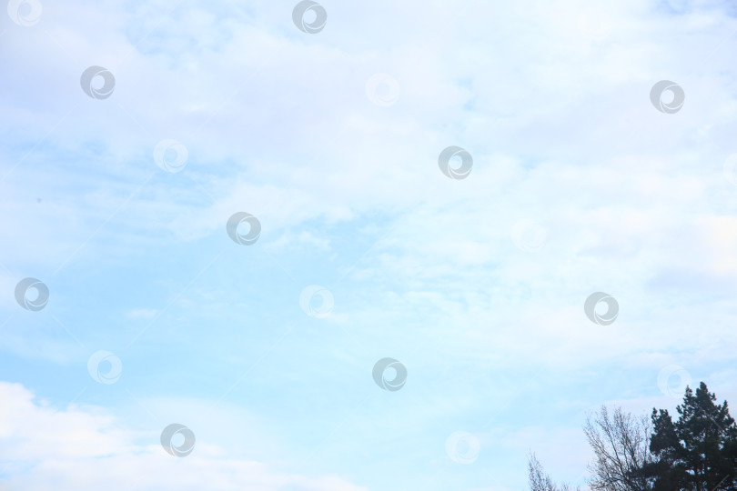Скачать Голубое небо в летний день фотосток Ozero