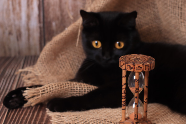 [object Object] undefined
