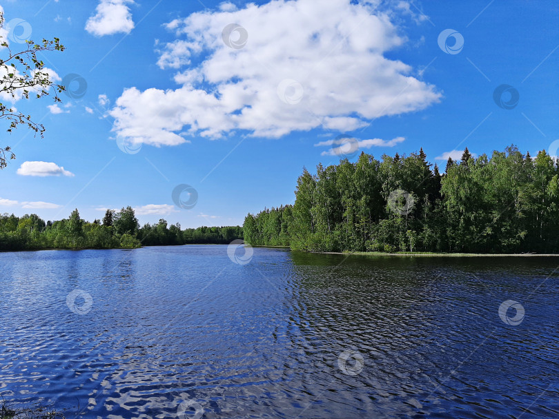 Скачать Вид на реку Луга в Ленинградской области фотосток Ozero