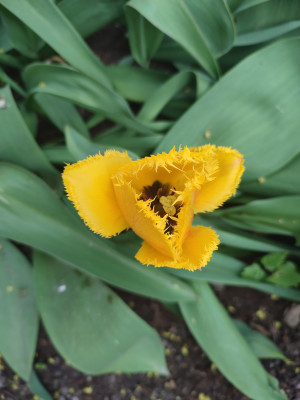 [object Object] undefined