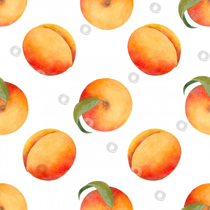 Скачать Бесшовный акварельный узор со спелыми персиками фотосток Ozero