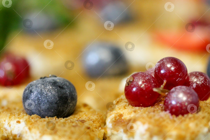 Скачать Мини-пирожные, украшенные взбитыми сливками и свежей красной смородиной фотосток Ozero