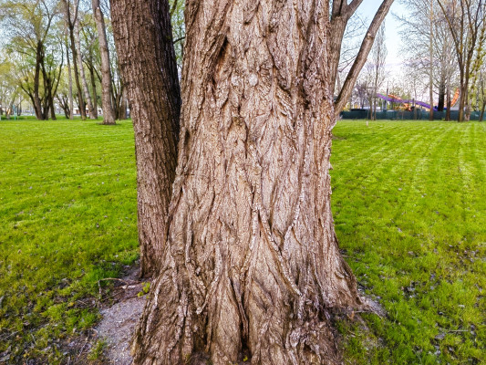 [object Object] undefined