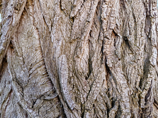 [object Object] undefined