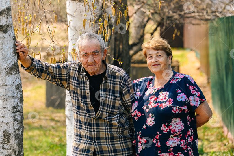 Скачать Портрет пожилой русской пары, мужа 77 лет и жены 73 лет, стоящих возле березы в деревенском саду фотосток Ozero