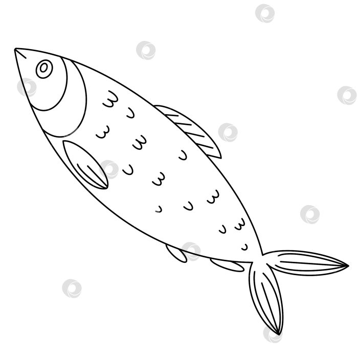 Скачать Рыба фотосток Ozero