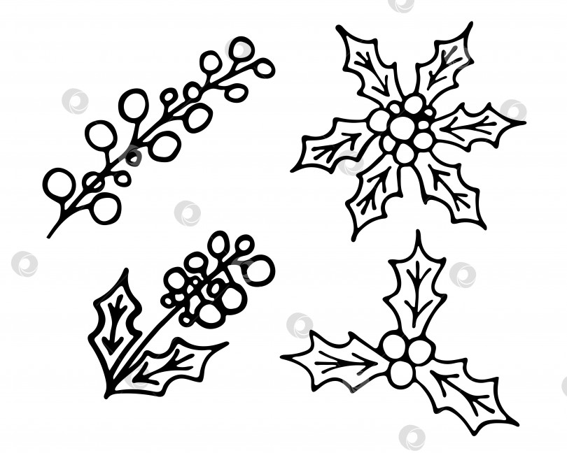 Скачать Векторная рисованная контурная иллюстрация рождественского набора ягод остролиста фотосток Ozero