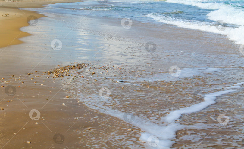 Скачать Морская пена на песчаном пляже в Бат-Яме, Израиль фотосток Ozero