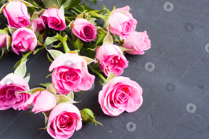 Скачать букет из маленьких розовых роз на темно-сером фоне бетона. Композиция ко дню Святого Валентина, выборочный фокус. фотосток Ozero
