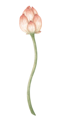 [object Object] undefined