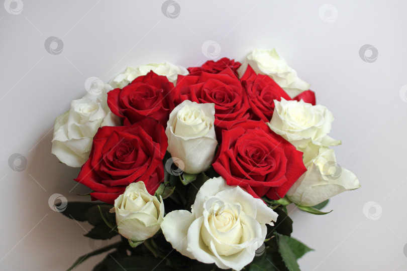 Скачать Букет красных и белых роз на чистой поверхности фотосток Ozero