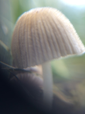 [object Object] undefined