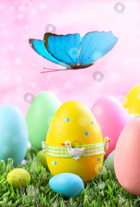Скачать Раскрашенные пасхальные яйца и бабочка. фотосток Ozero