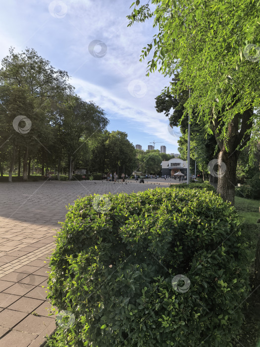 Скачать Пространство для прогулок: парк и город фотосток Ozero