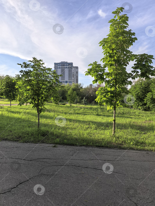 Скачать Уголок покоя в ритме города фотосток Ozero