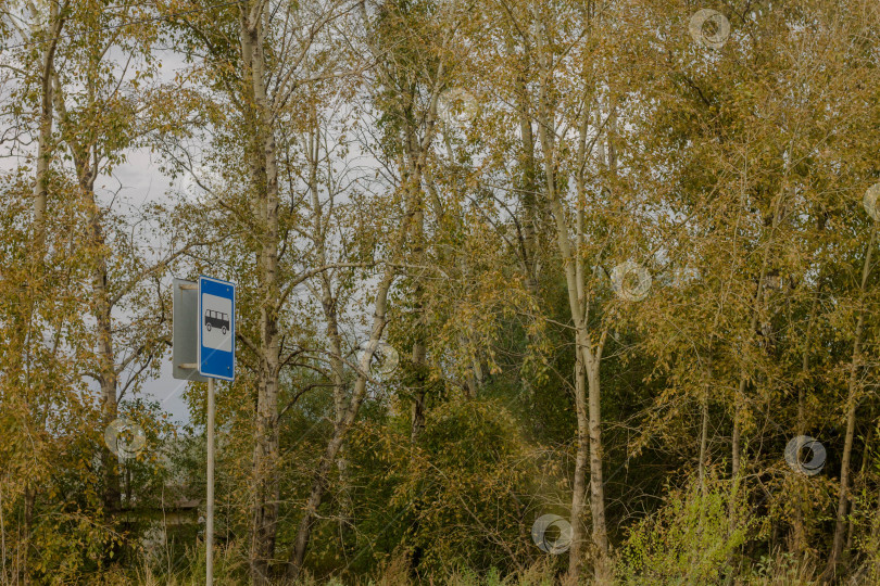 Скачать Дорожный знак на берегу реки на фоне деревьев фотосток Ozero