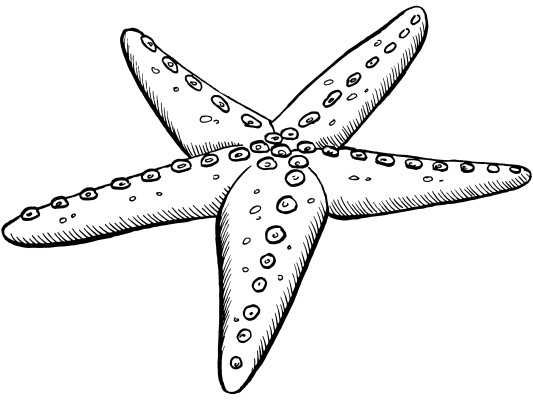 [object Object] undefined