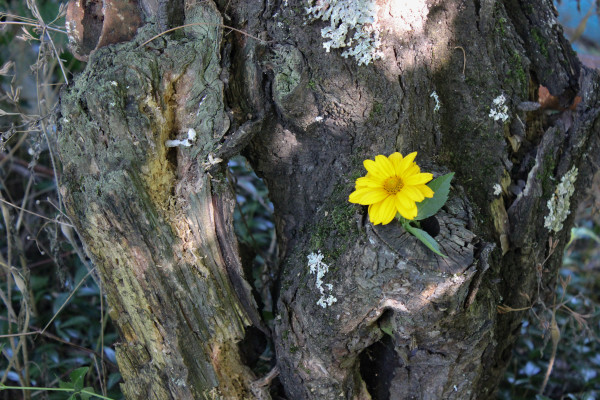 [object Object] undefined